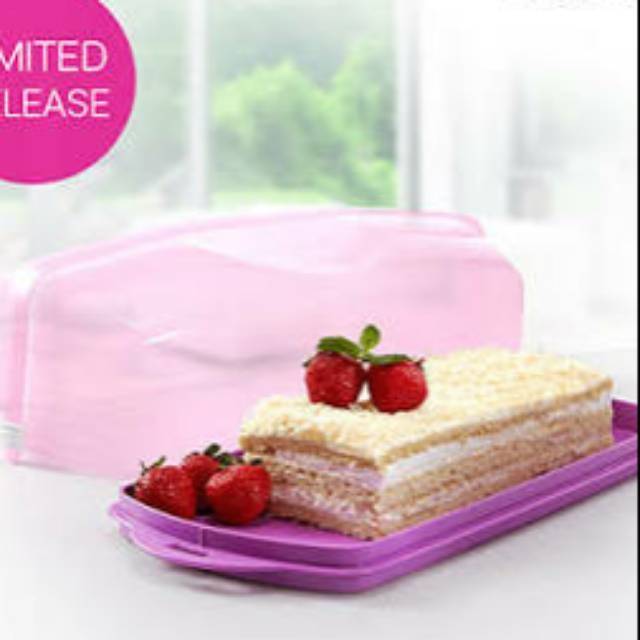 Cake taker rectanguler tupperware