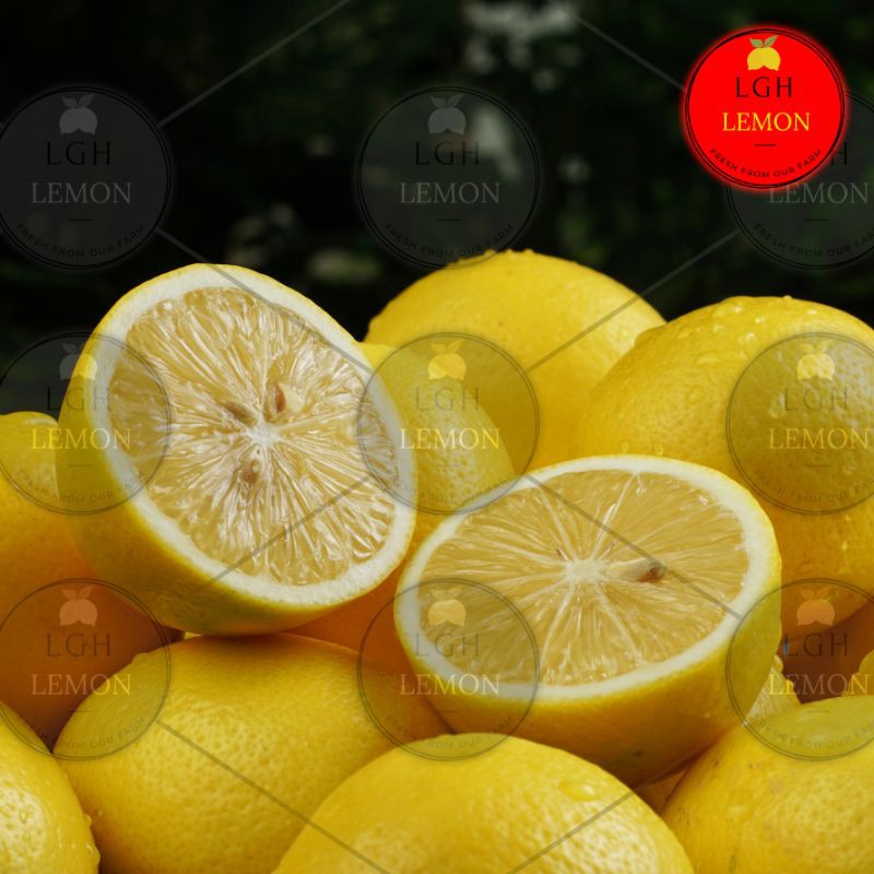 

Lemon California