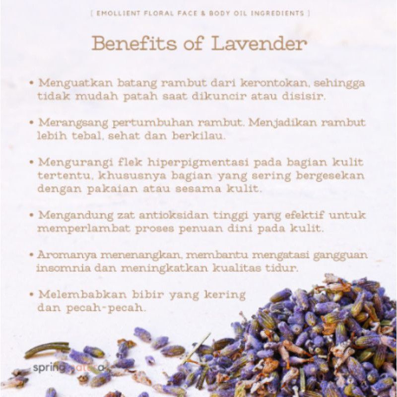 Lavender Chamomile Tea : Lavender Flower &amp; Chamomile Flower Isi 30 Tea Bag