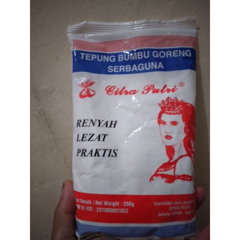 

citra putri tepung bumbu goreng serbaguna