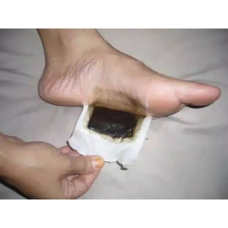 KINOKI GOLD/KOYO KAKI/1BOX 10PADS