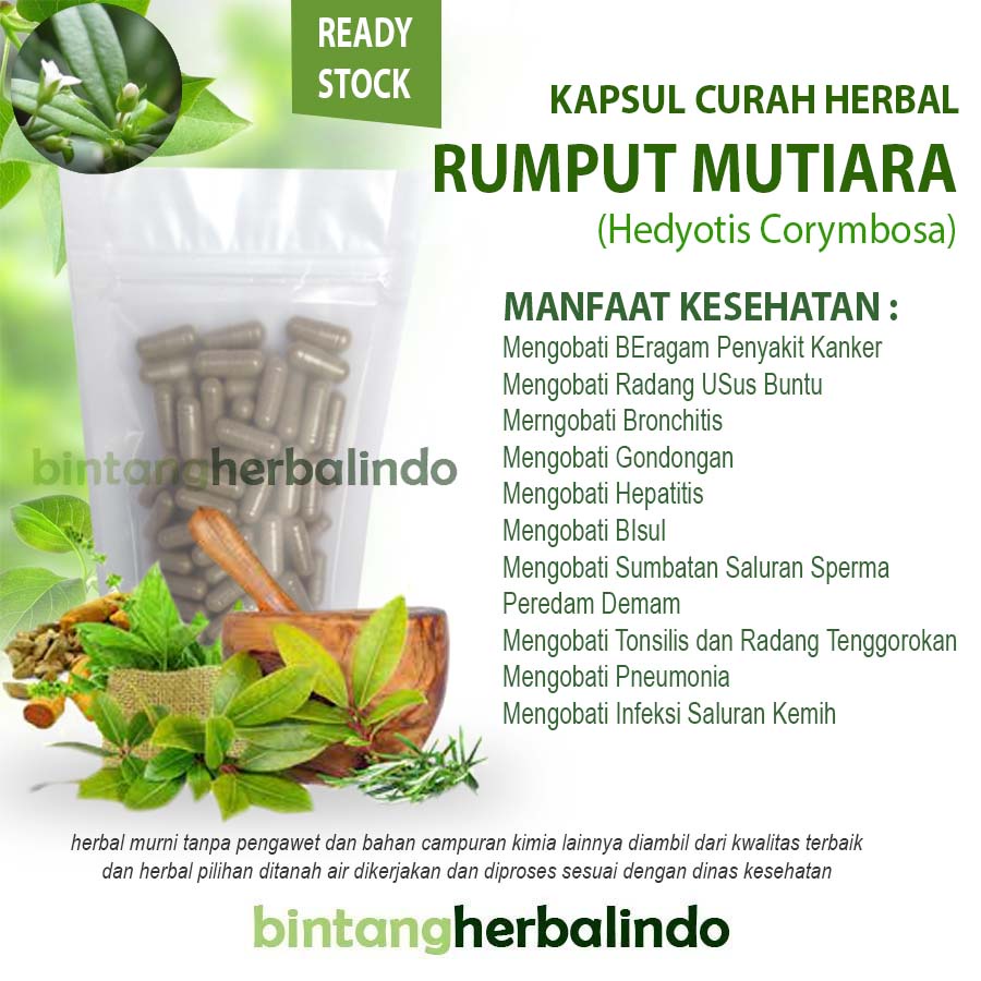 RUMPUT MRUMPUT MUTIARA 100 Kapsul Curah Herbal Sumbatan Saluran Sperma KankerUTIARA 100 Kapsul Curah