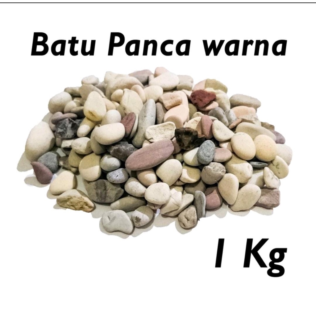 Batu Pancawarna Batu kolam pancawarna 1 kg dekorasi taman batu pot  - hiasan kolam - batu aquascape/batu aquarium BATU KWACI /KUACI