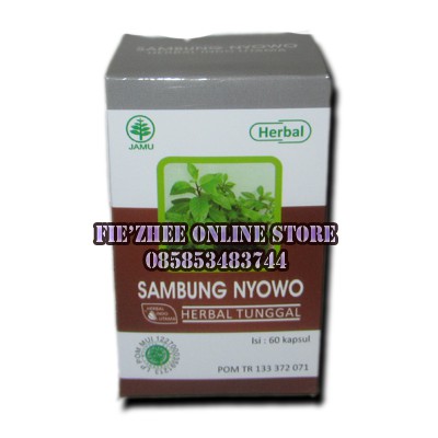 

Sambung Nyowo Herbal Indo Utama