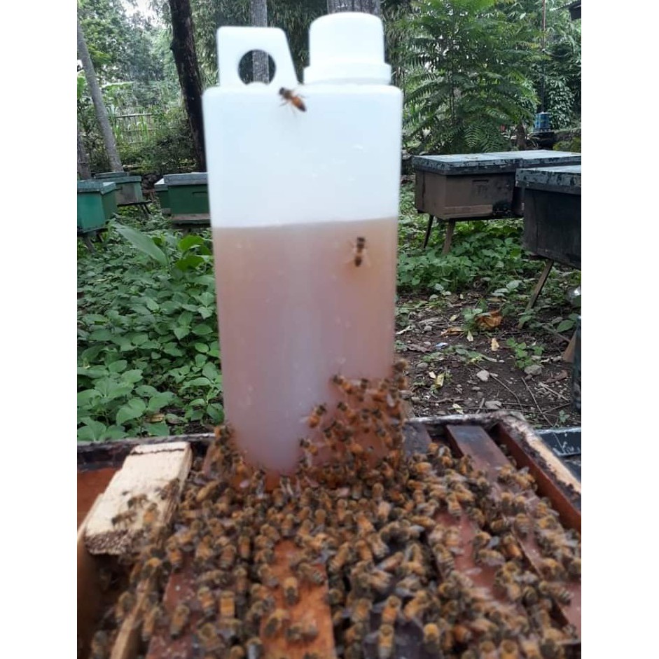 

Madu Murni Tanpa Proses | Raw Honey 1000 gr/1 kg