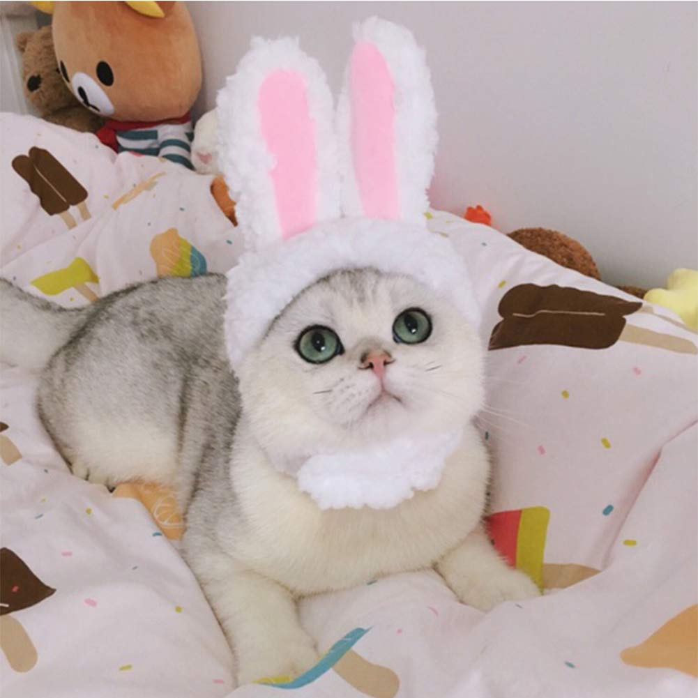 Bunny Hat for Cat - Topi Telinga Kelinci Untuk Kucing Cosplay Rabbit Ear Hat for Cat Dog Cute