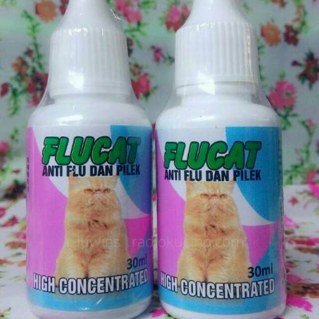 FLUCAT Flu Cat Obat Flu dan Pilek pada Anjing Kucing