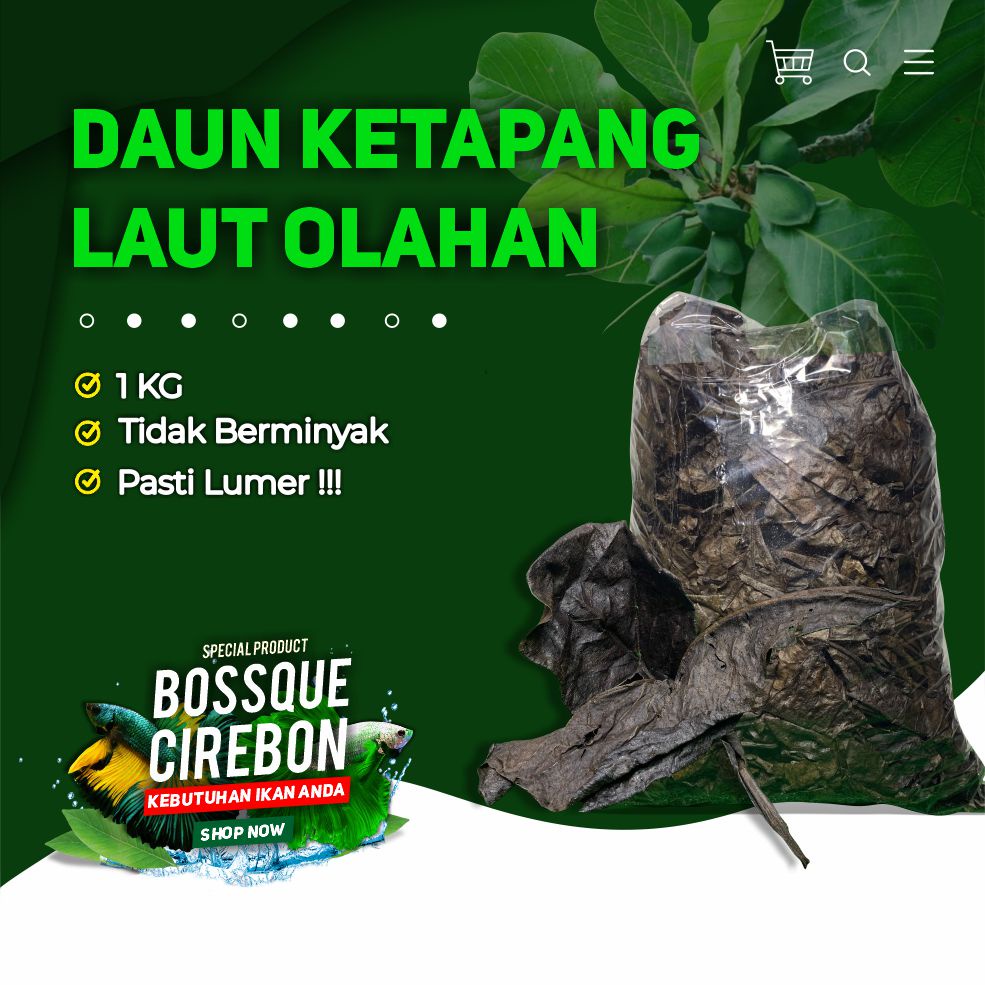 LUMER!!! Daun Ketapang Laut Olahan 1kg Perawatan Ikan Channa Cupang Arwana Predator Hias Stamina Booster Dan Mempercepat Mutasi Pekat Lumer Tidak Berminya