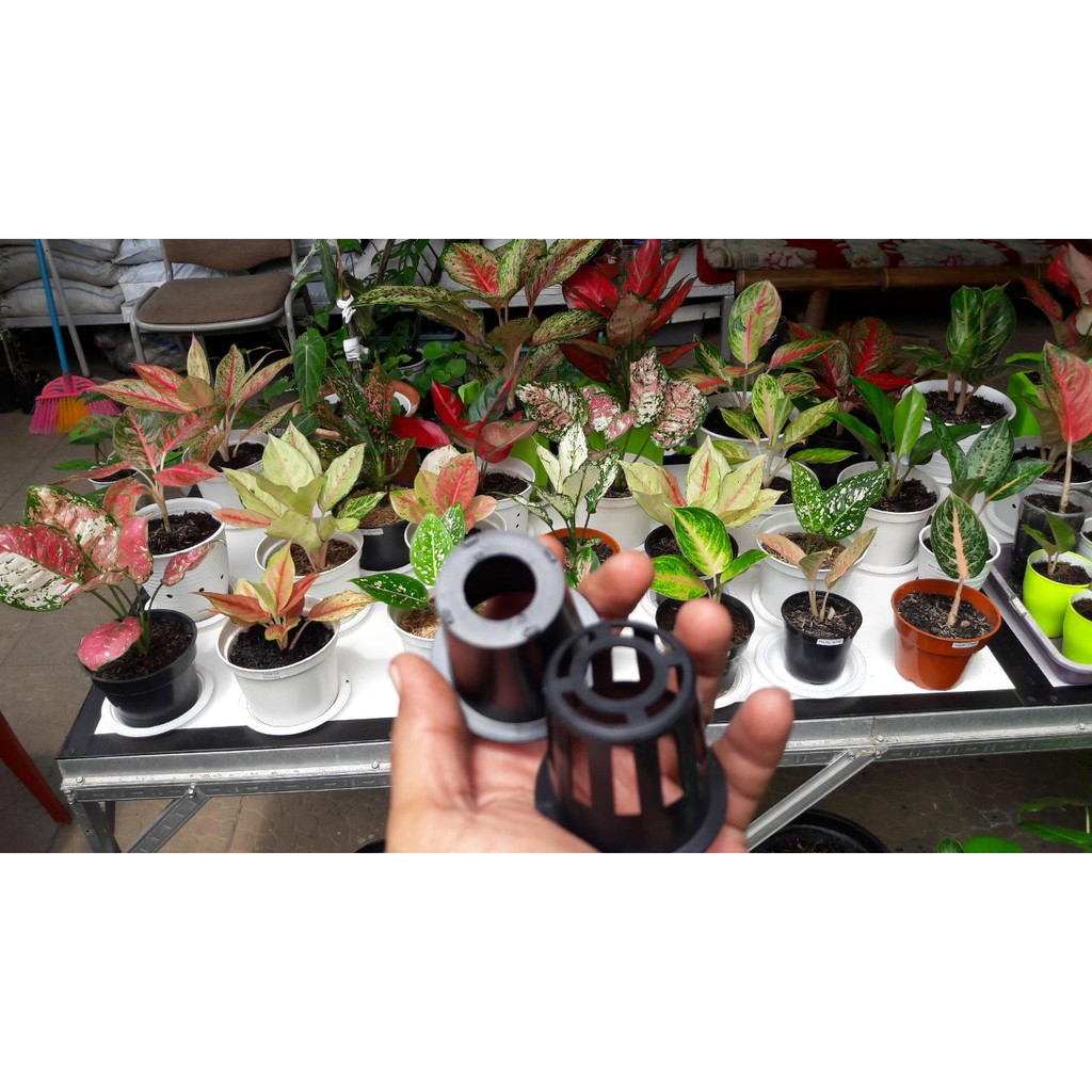 Netpot_5cm_Hitam