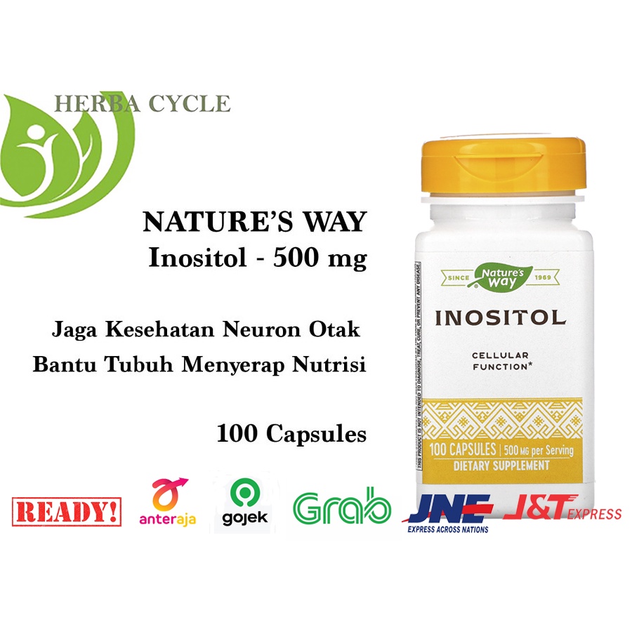 Nature Way Inositol Once Daily 500 mg 100 Capsules Ori USA