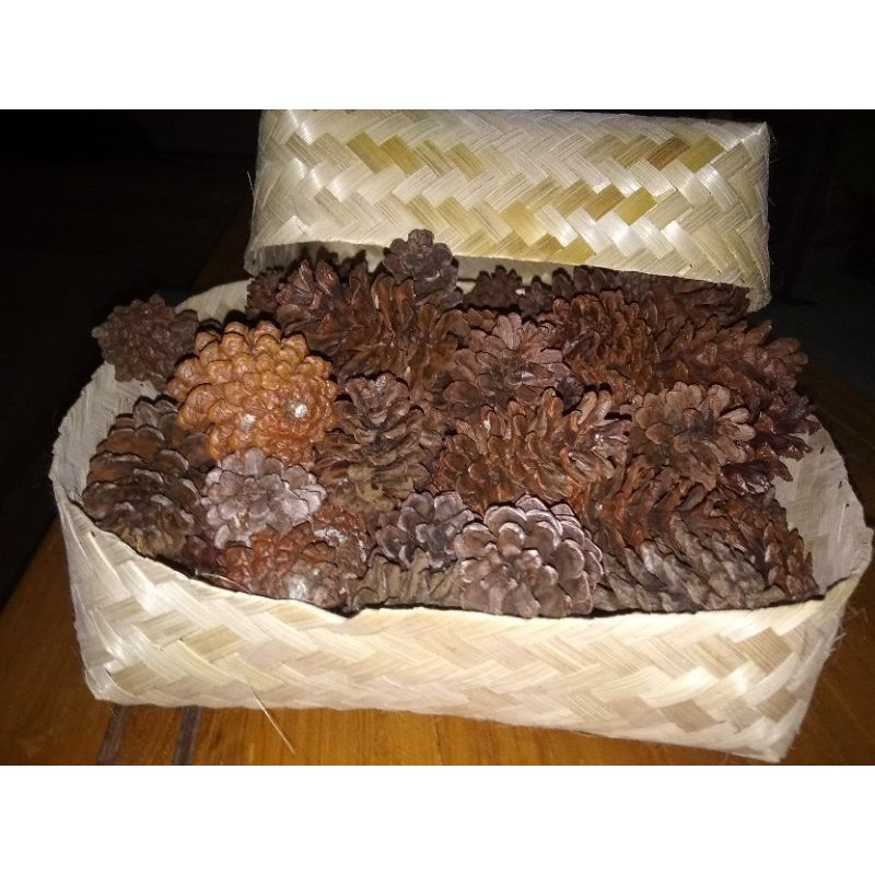 Bunga Pinus kering Original kwalitas premium-hiasan mahar-bunga artifisial-bunga kering-rustic-dried-2
