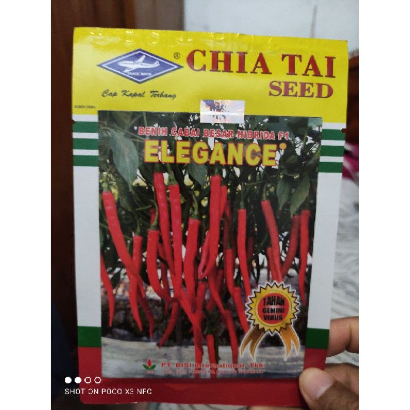 Benih Cabe Besar Elegance Hibrida F1 10gr