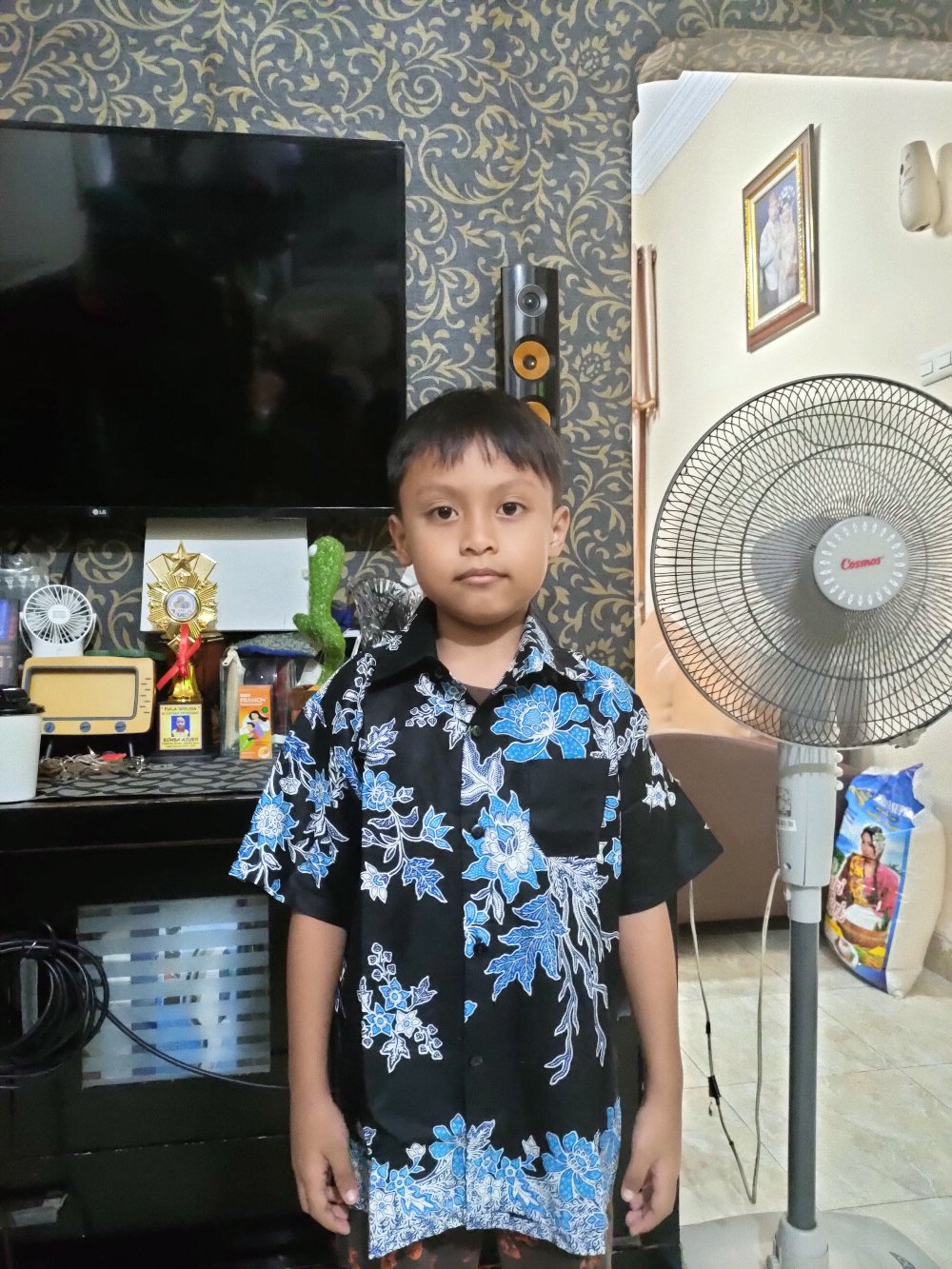 Baju Hem Batik Anak  Laki-laki Lengan Pendek Bahan Adem Termurah Berkualitas