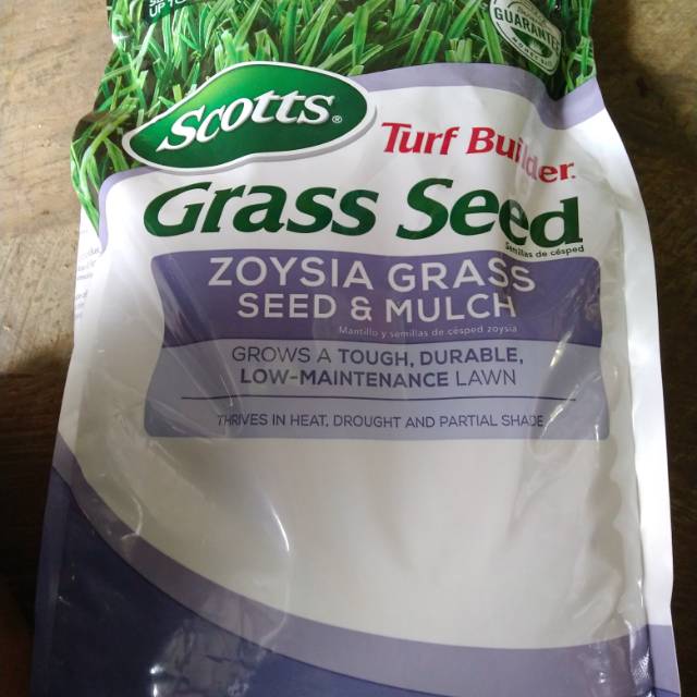 Benih Rumput Zoysia 1 Kg - Untuk Lapangan Sepak Bola dan Taman