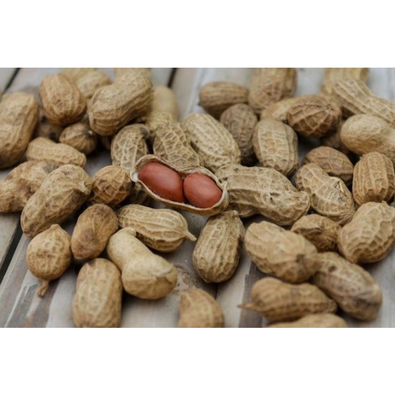 

kacang shangrai dongkal 500gr