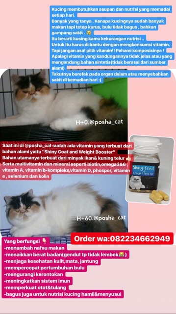 Posha_cat Paket tuntas bulu rontok dan gendutin kucing