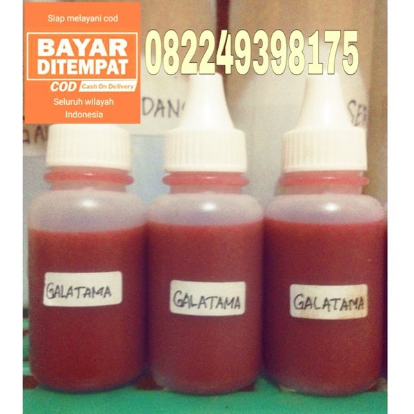 Essen oplosan GALATAMA ikan mas TERLARIS