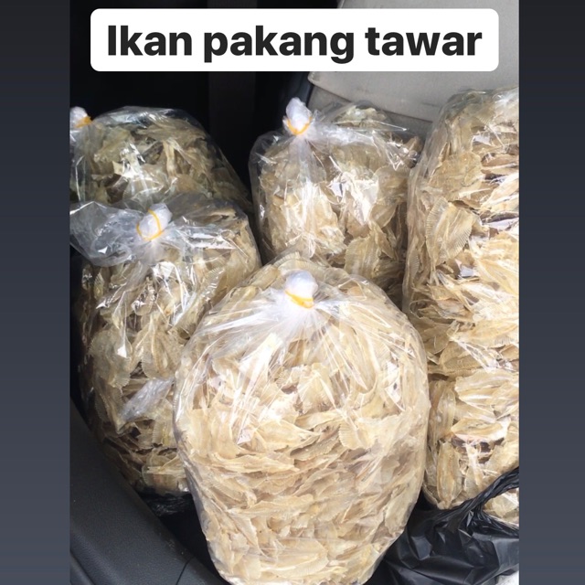 

IKAN PAKANG TAWAR