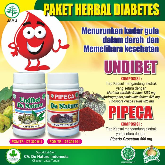 

Undibet Pipeca de Nature Obat Herbal Diabetes Melitus Mellitus Gula Terbukti Khasiatnya