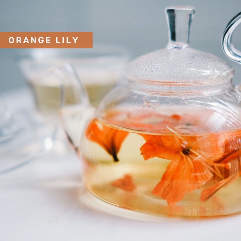 Organic&amp;Joy • Teh Bunga Lily/ Pure Orange Lily flower tea (Kulit cantik,anti penuaan dini,Slimming,Sehat Jantung ,tisane,teh bunga herbal, teh bunga lily/teh lavender/teh mawar/teh melati/teh bunga krisan)