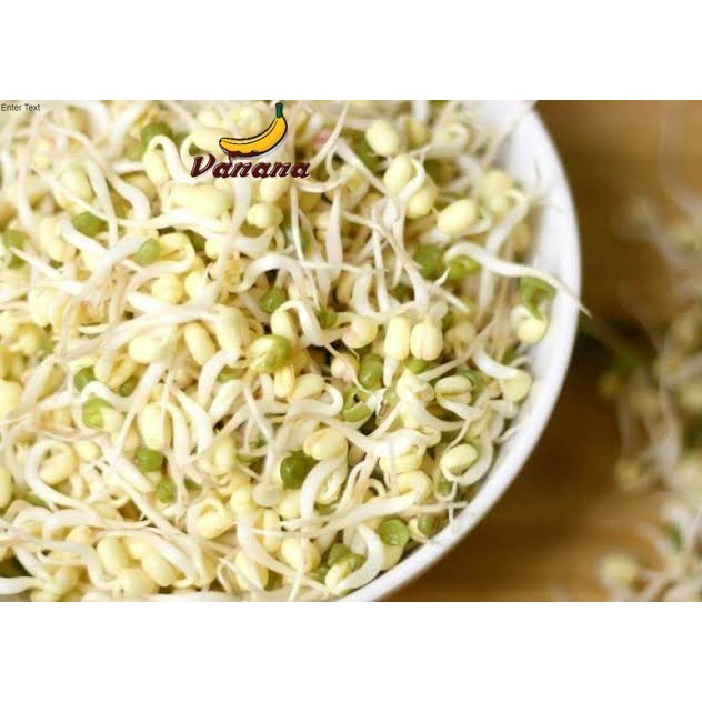 

toge kecil kecambah 100gr