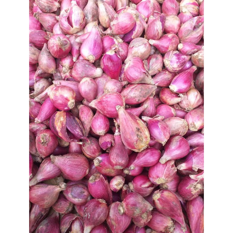 

Bawang Merah Brebes Kecil