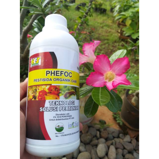 PHEFOC HCS OBAT PEMBASMI HAMA
