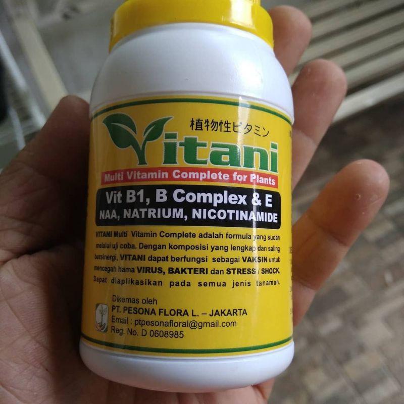 Vitamin B1 untuk tanaman - vitani B1 Vitamin tanaman - Vitamin tanaman