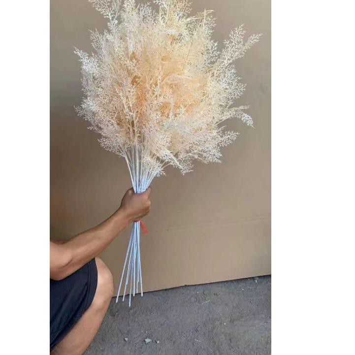 DFE♡ Daun Cemara Asparagus Tangkai Panjang/ Artificial Smoke Bush Barang Terlaris