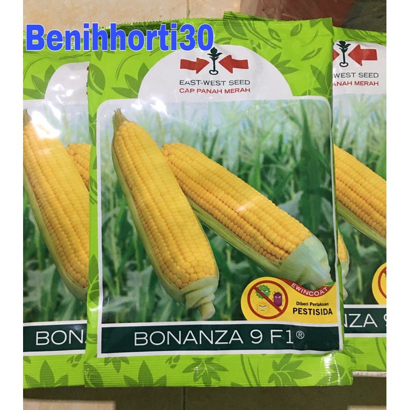 Benih Jagung Manis Bonanza 9 F1 isi 1800 butir
