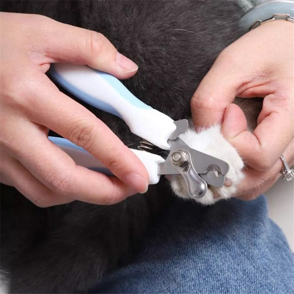 Pet Cutter Trimmers Nail Clippers/ Pet Gunting Kuku