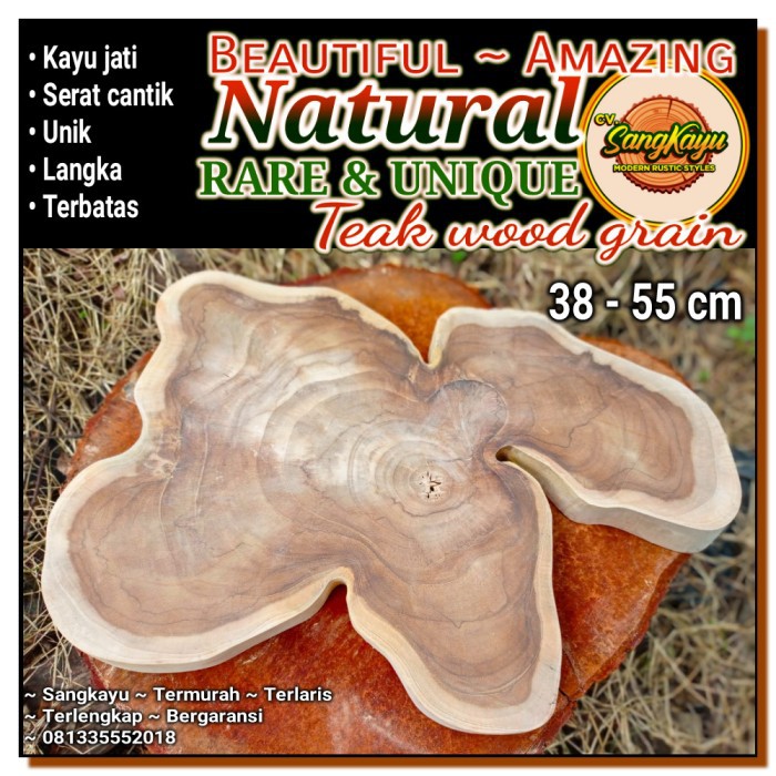 Amazing teak wood grain unique shape 38-55 cm properti foto dll