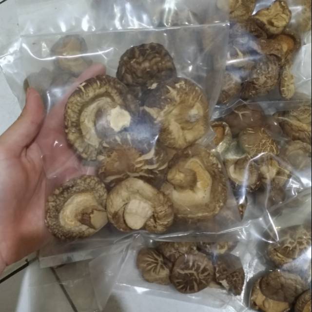 

Jamur Khioko premium