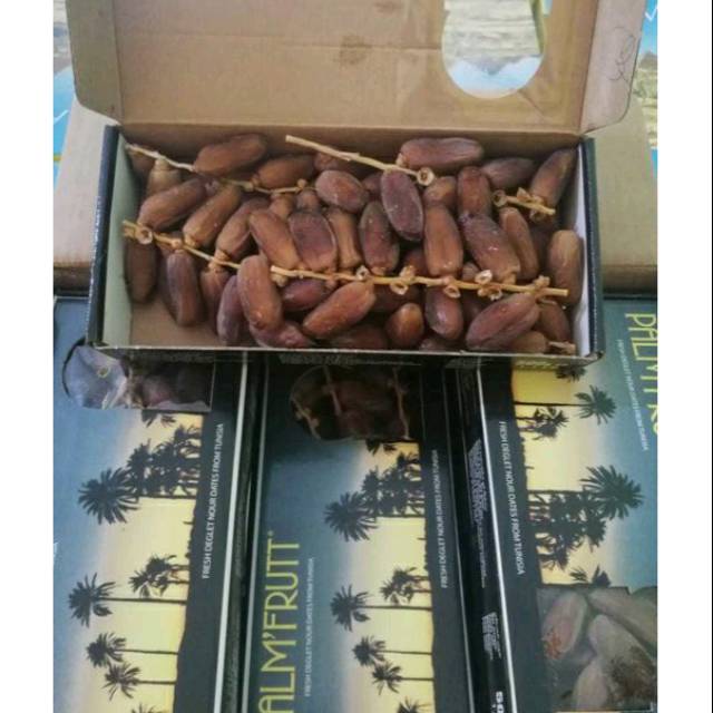 

Kurma palm fruit