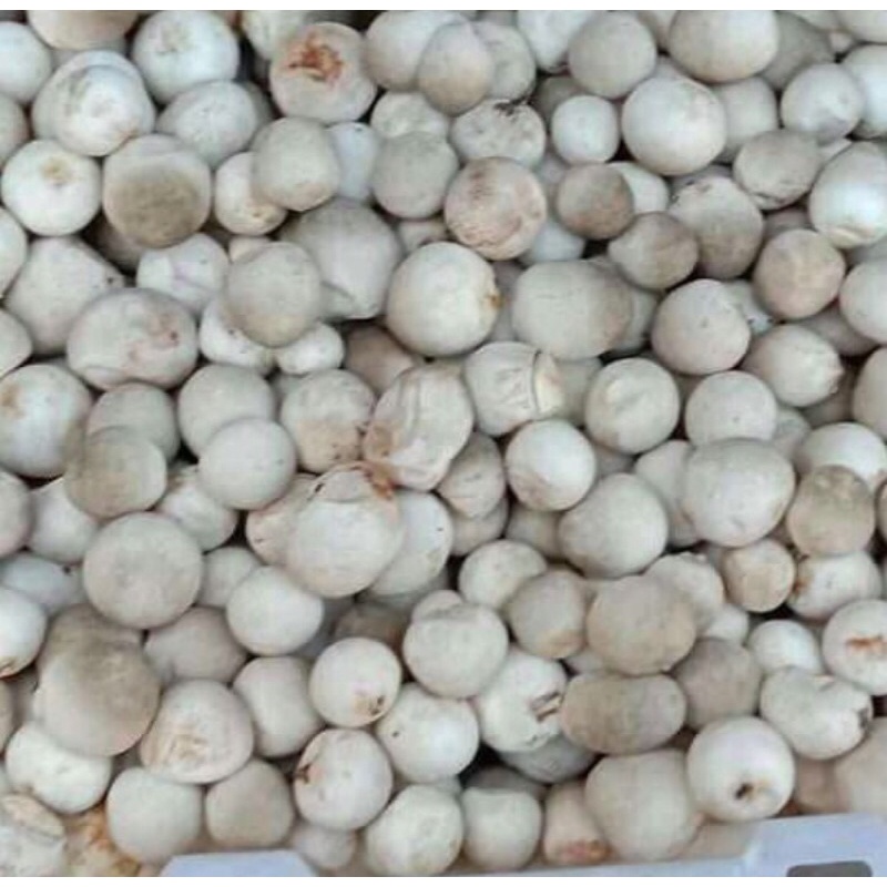 

jamur merang 250 gr