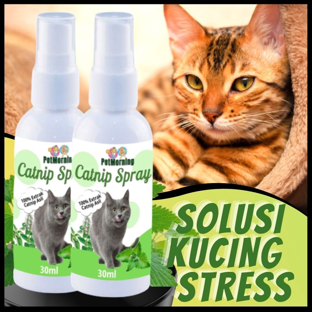 Catnip Spray Kucing Anti Stress Herbal Super Aman FEZONE