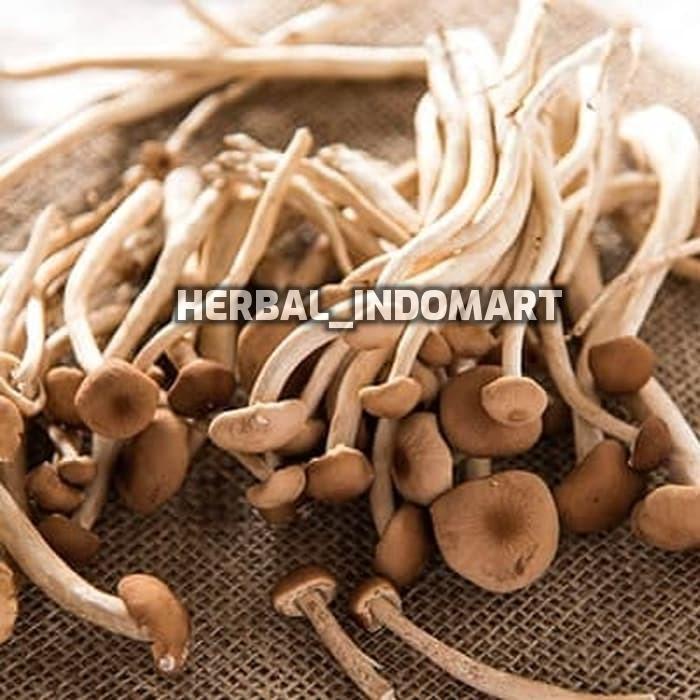 

Dried tea Tree Mushroom Jamur ChaShuGu 250 gr
