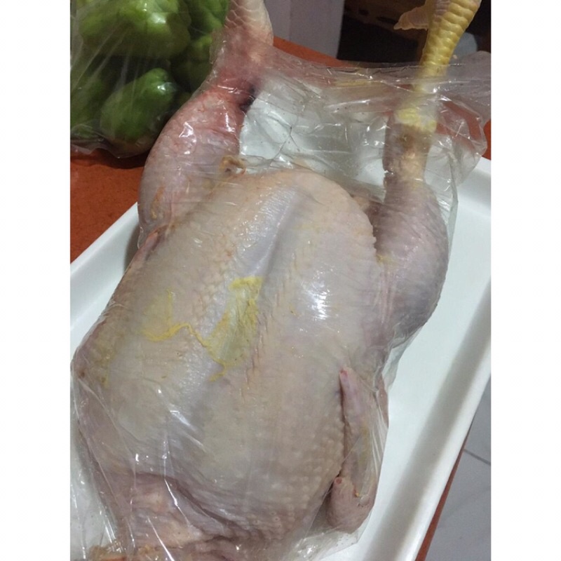 

AYAM UKURAN BESAR