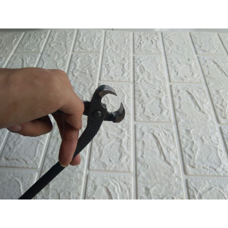 catok bonsai lokal setoper