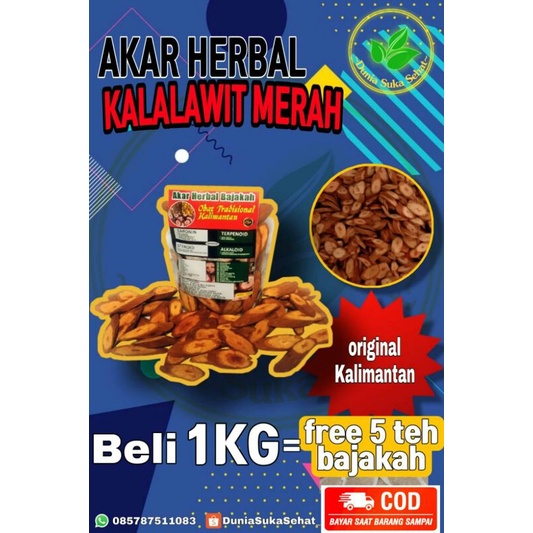 

Akar Herbal Bajakah Kalalawit Merah Asli Kalimantan