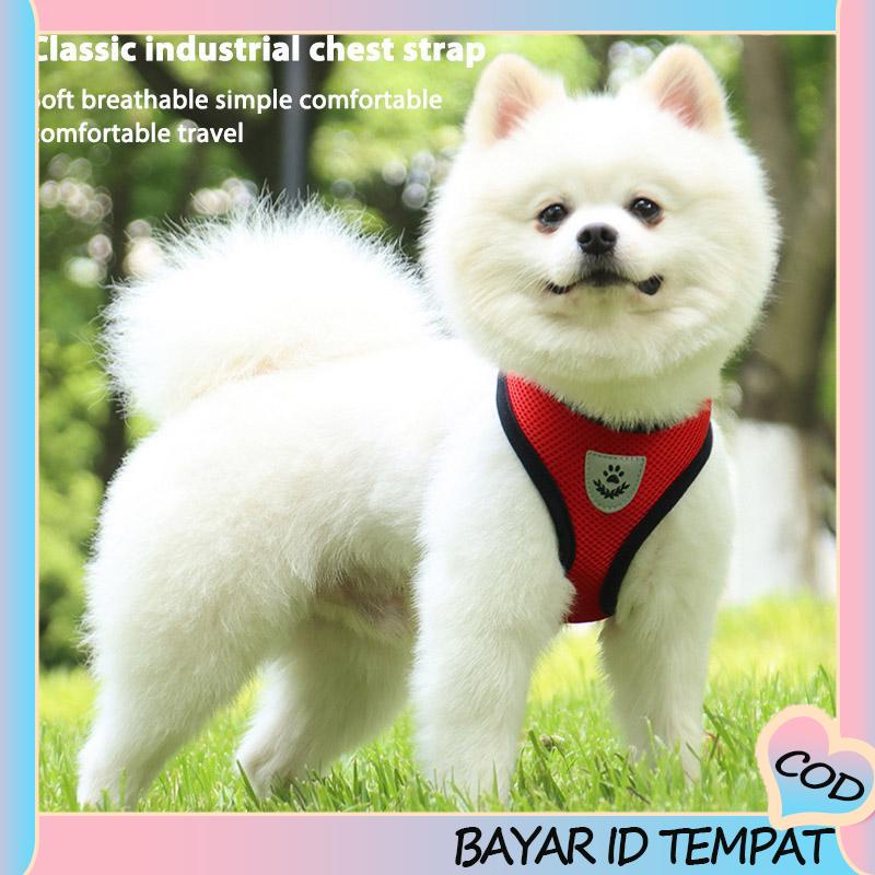 COD❤️ Pet Chest Back Leash Mesh Strip Reflektif Crossing Road Perlengkapan Hewan Peliharaan tahan aus-A.one