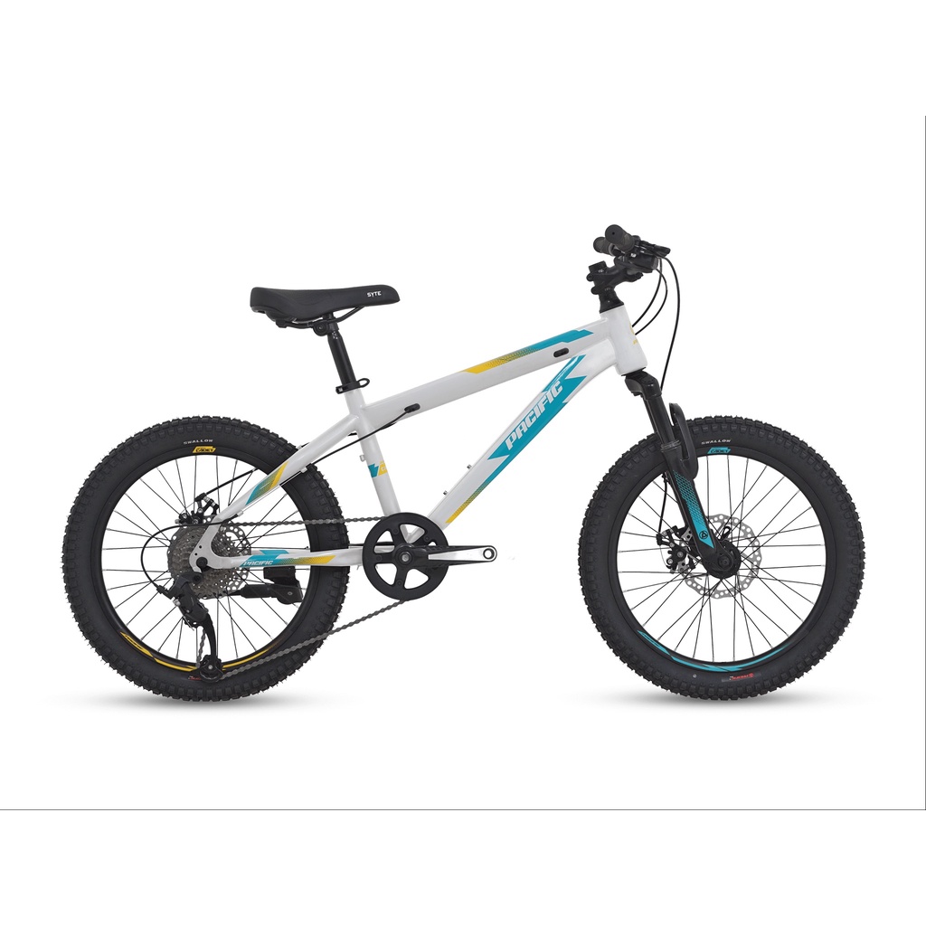 SEPEDA GUNUNG PACIFIC INVERT CADET 20” 9 SPEED FRAME STEEL MECHANICAL DISC BRAKE MTB