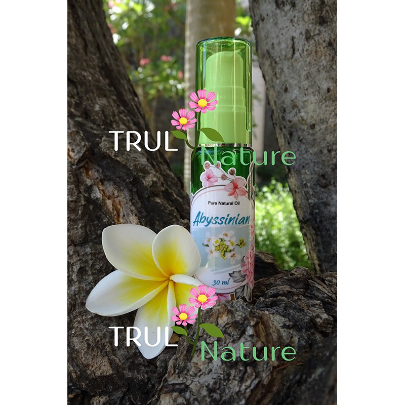 Abyssinian Oil (Pure 100%, Cosmetic Grade) / Abyssinian Carrier Oil