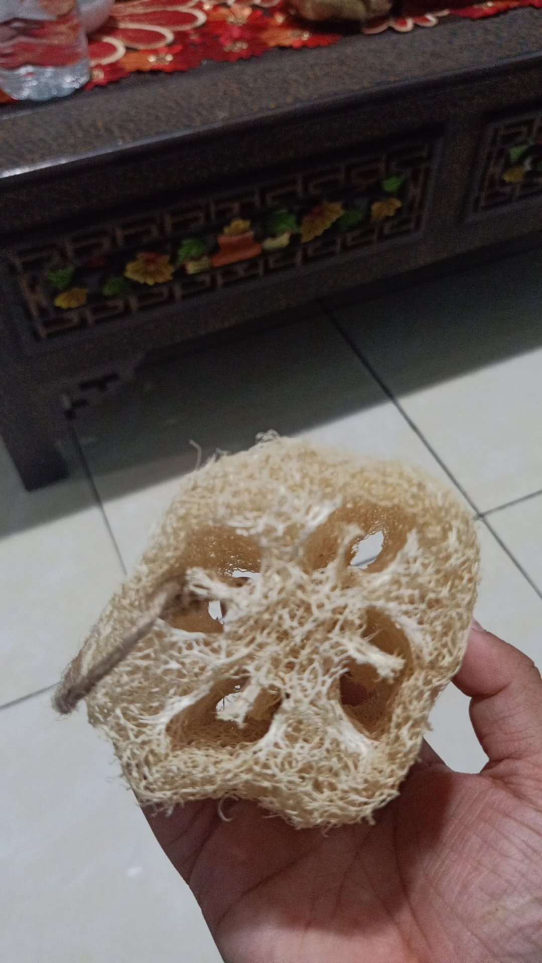 Loofah Puff Mandi Alami Premium Quality + Tali Medium Size