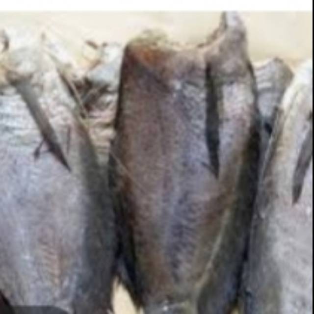 

Ikan asin sepat besar/kualitas super harga murah