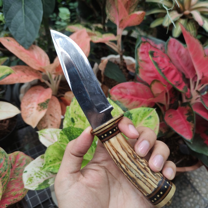Pisau Seset Kulit - Pisau Seset Pisau Bushcraft Bahan D2 - Vivistecolection