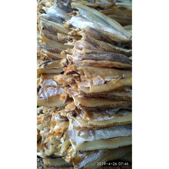 

Ikan Asin Bloso 1 kg