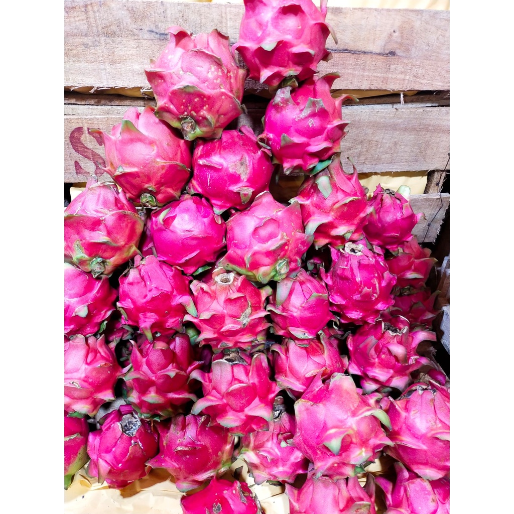 

Buah Naga 1kg