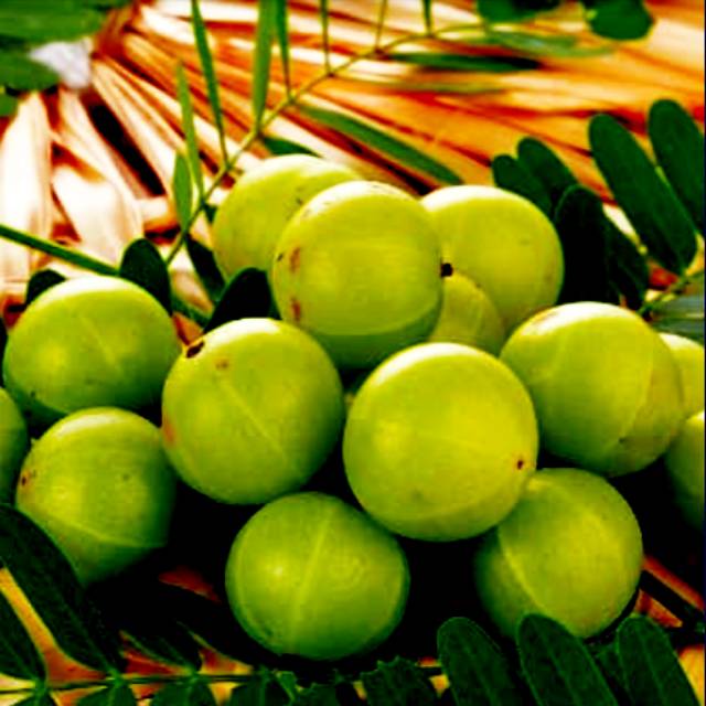 

Buah malaka asli madura 500gram