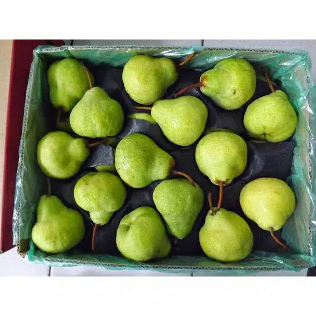 

Pir Hijau / Pir Hijau Packham 500 gram